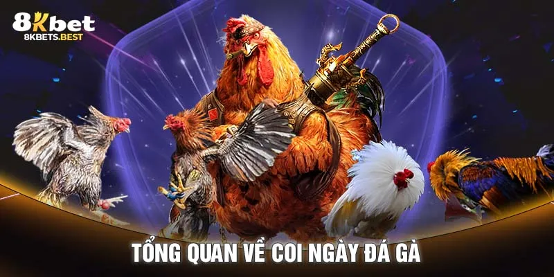 Tổng quan về coi ngày đá gà